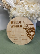 Load image into Gallery viewer, Newborn Announcement Plaque