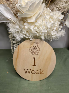 Newborn Milestone Disk Set