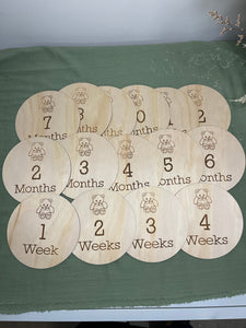 Newborn Milestone Disk Set